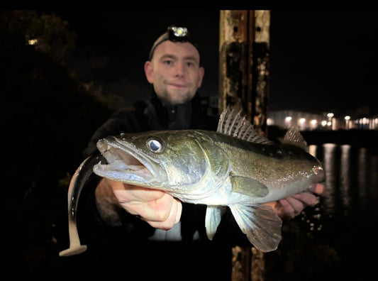 Zanderangeln in der Nacht – Die besten Tipps, Spots und Gummifische